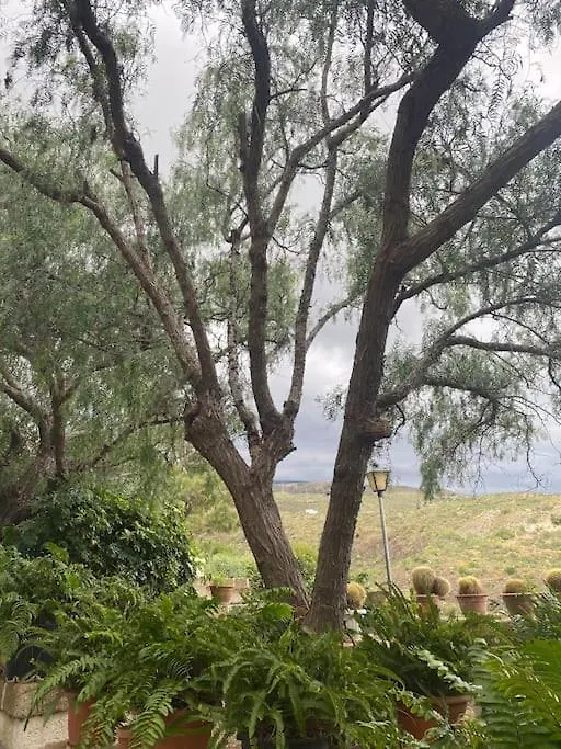 Arico Casa Rural Abuela Carmen בית נופש