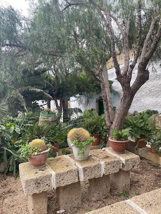 Arico Casa Rural Abuela Carmen